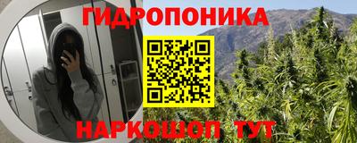гидра Малгобек