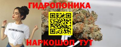 гидра Малгобек